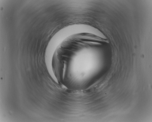 X0000071950384200607282014