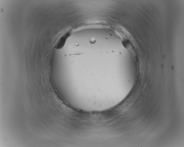 X0000071950385200607282014