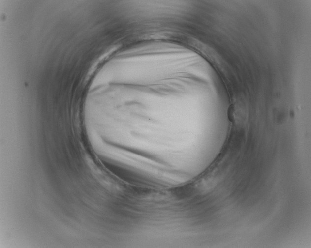 X0000071950386200607282014