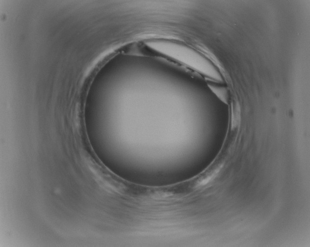 X0000071950387200607282014