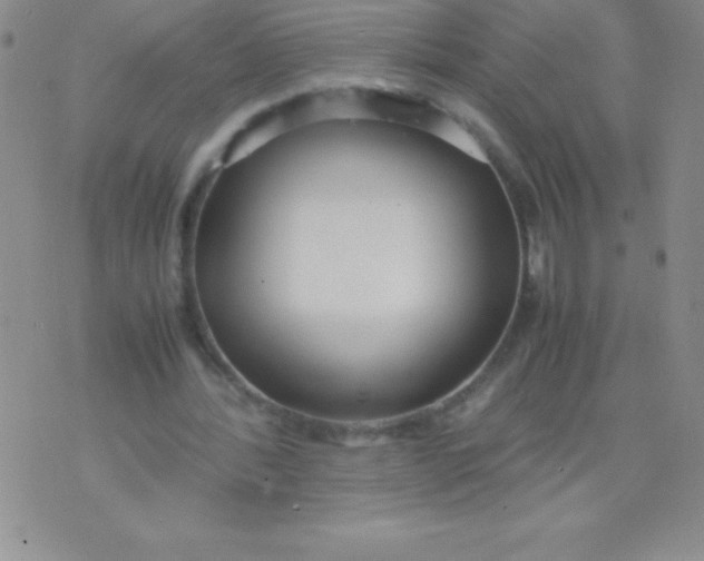 X0000071950388200607282014