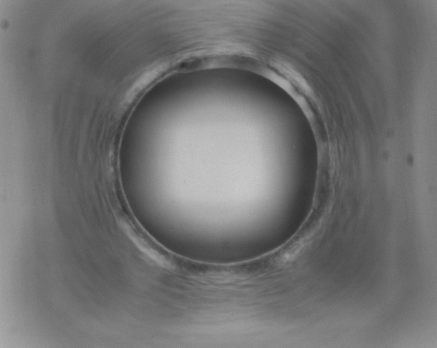 X0000071950389200607282013