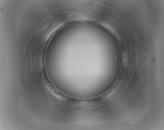 X0000071950390200607282013