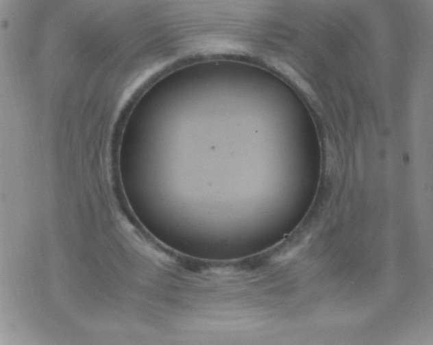 X0000071950391200607282013