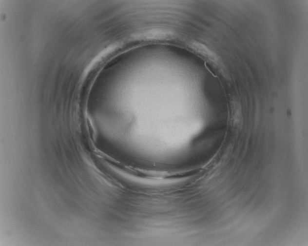 X0000071950392200607282013