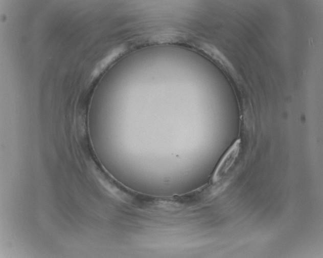 X0000071950393200607282013