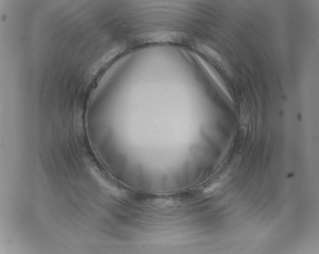 X0000071950394200607282013