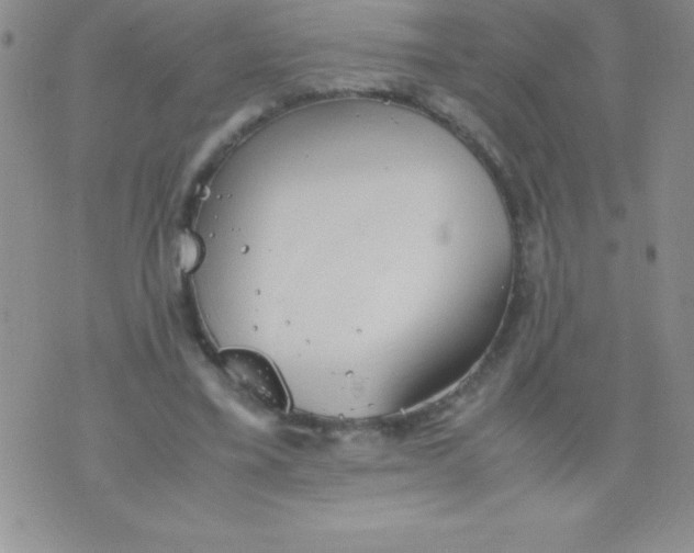 X0000071950395200607282013