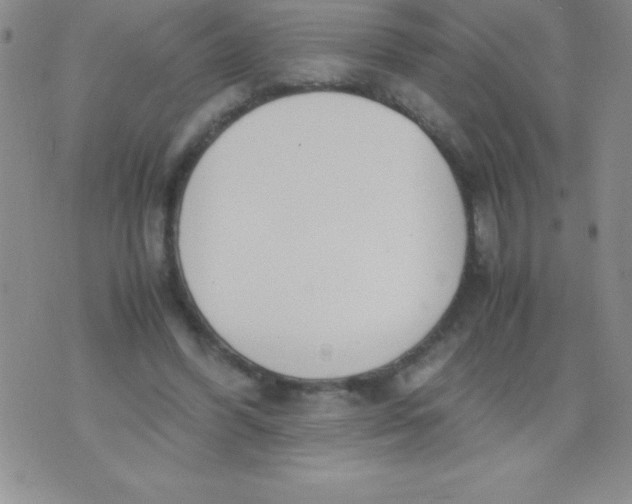 X0000071950396200607282013