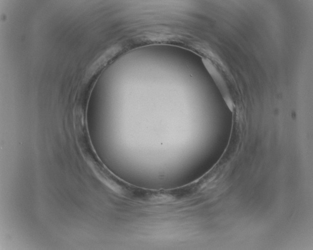 X0000071950397200607282013