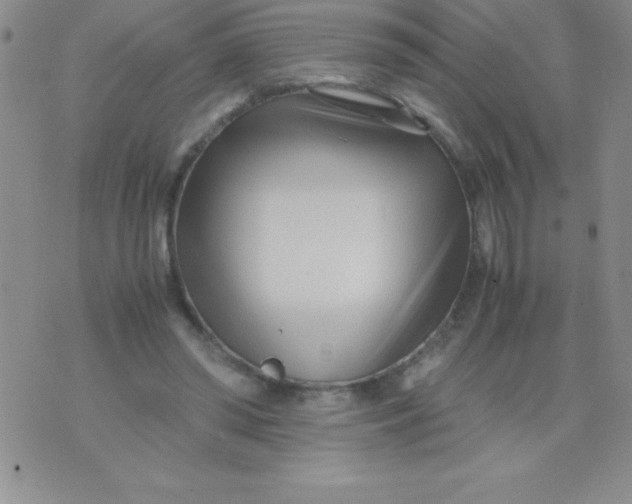 X0000071950398200607282013