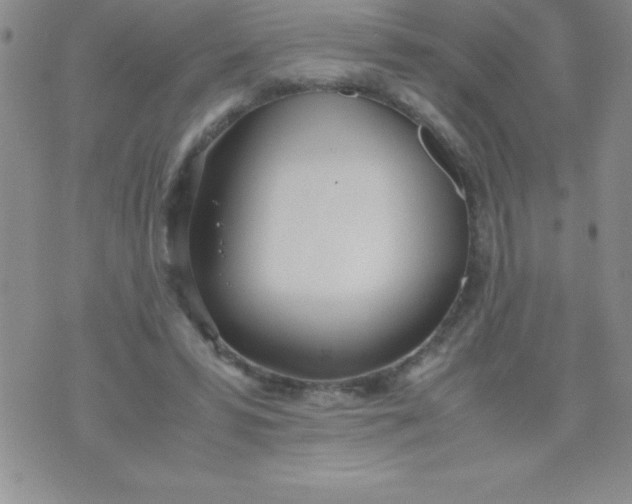 X0000071950399200607282013