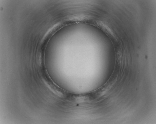 X0000071950400200607282013