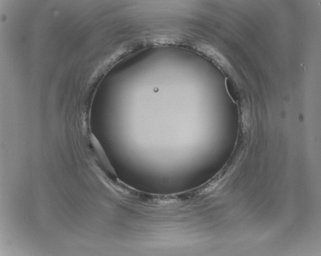 X0000071950401200607282013