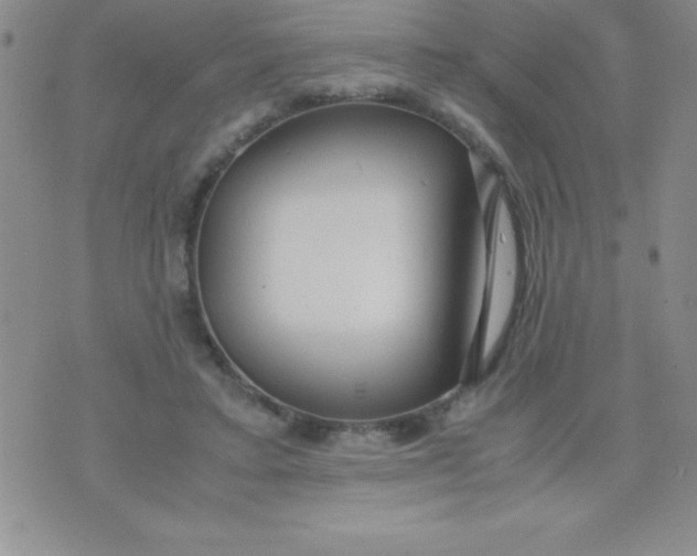 X0000071950403200607282013