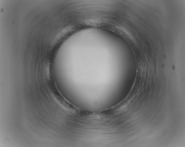 X0000071950404200607282013