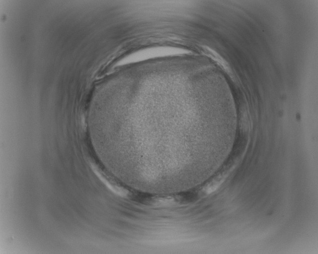 X0000071950405200607282013