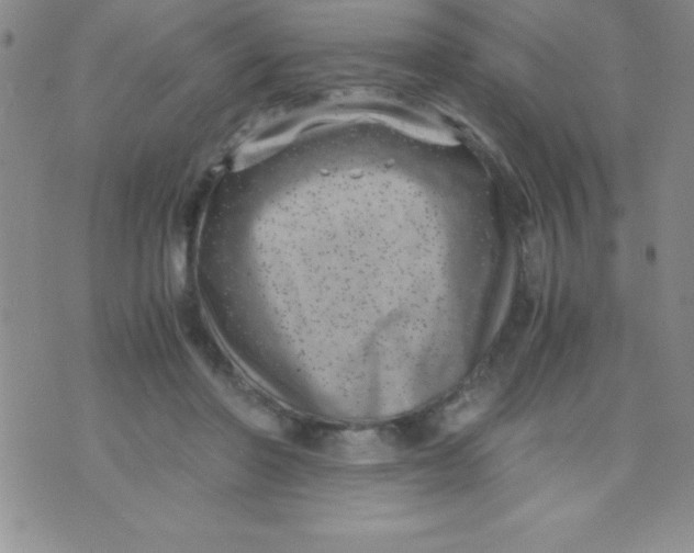 X0000071950406200607282013