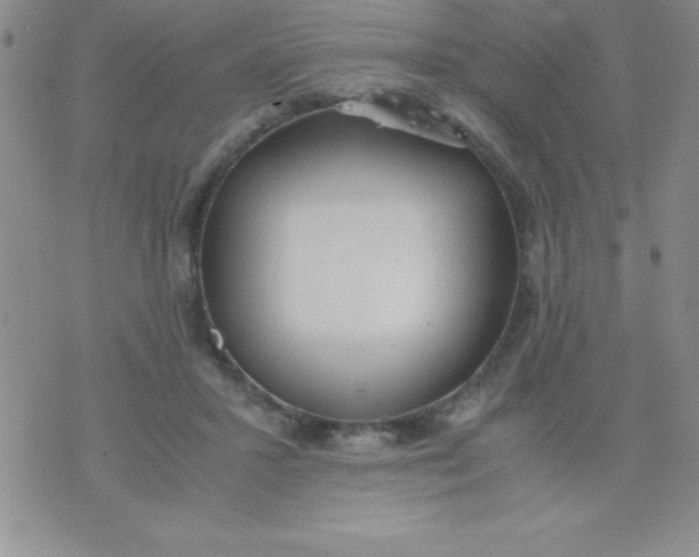 X0000071950407200607282013