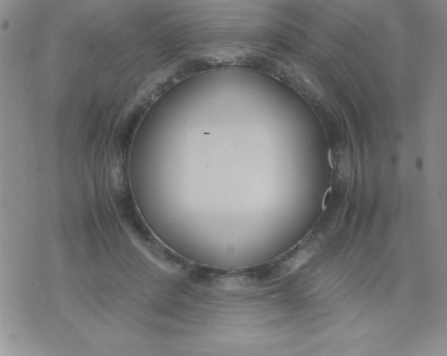 X0000071950408200607282013