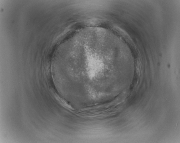 X0000071950409200607282013