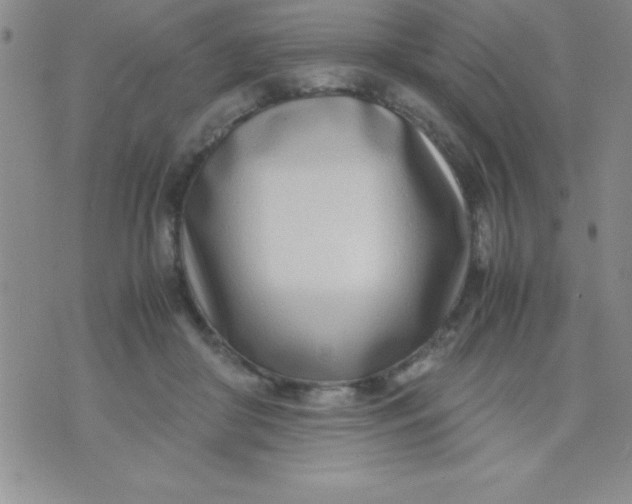 X0000071950410200607282013