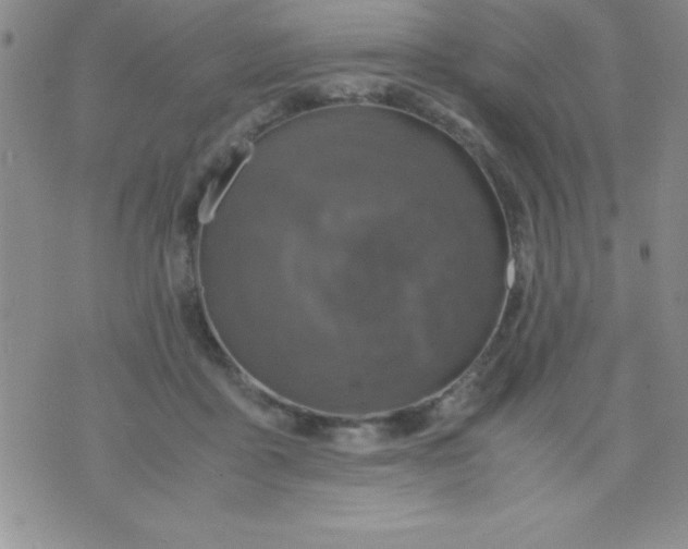 X0000071950411200607282013