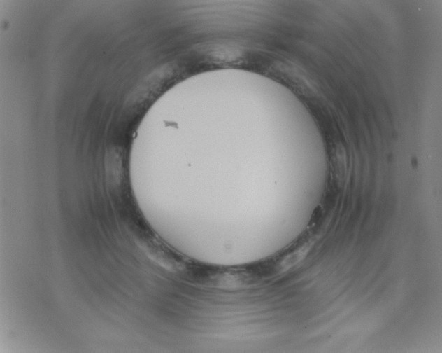 X0000071950412200607282013