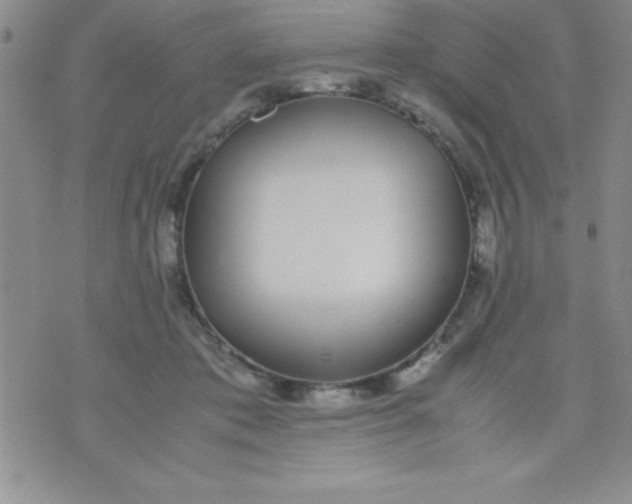 X0000071950413200607282013