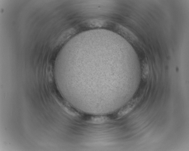 X0000071950414200607282013