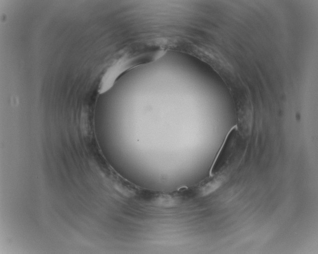 X0000071950416200607282013