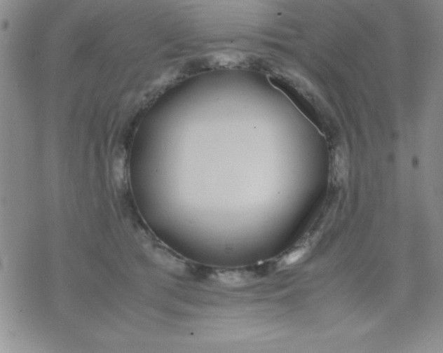 X0000071950417200607282013