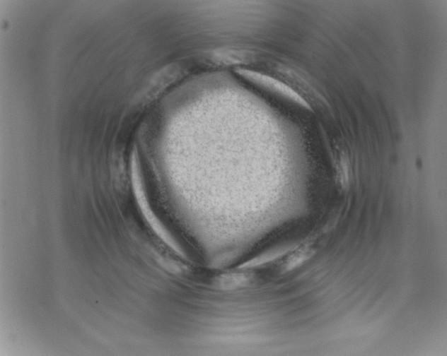 X0000071950418200607282013