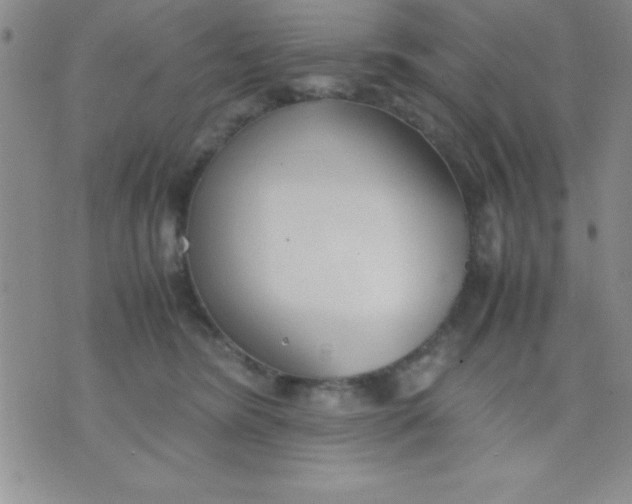 X0000071950420200607282013