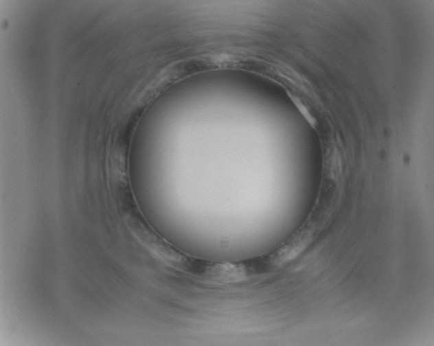 X0000071950421200607282013