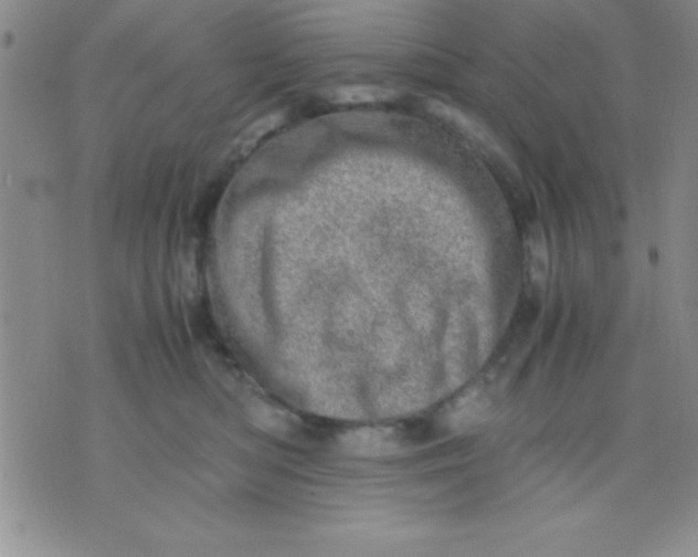 X0000071950422200607282013