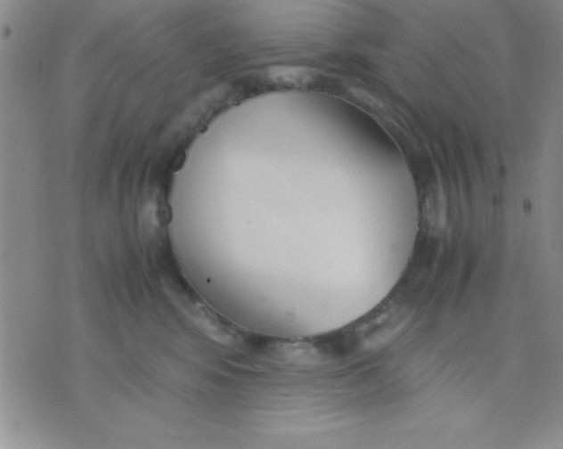 X0000071950424200607282013