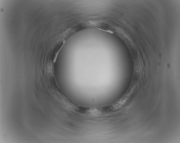 X0000071950425200607282013