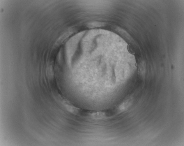 X0000071950426200607282013