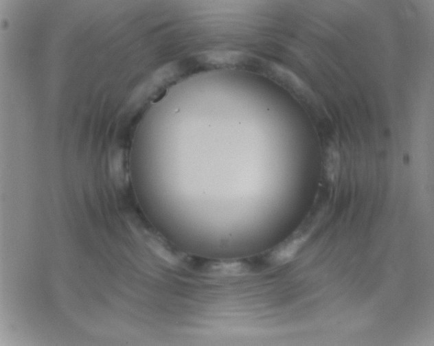 X0000071950428200607282013