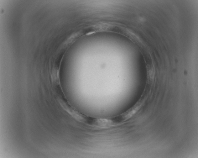 X0000071950429200607282013