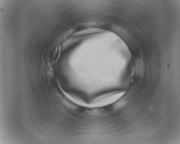 X0000071950430200607282013