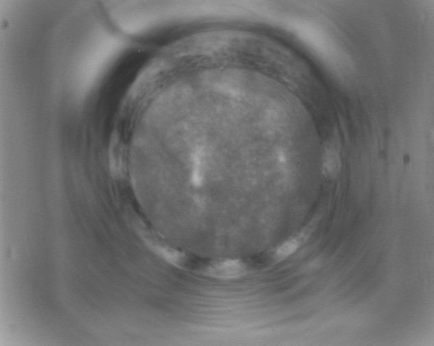 X0000071950431200607282013