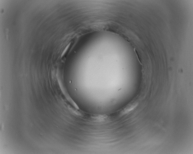 X0000071950432200607282013