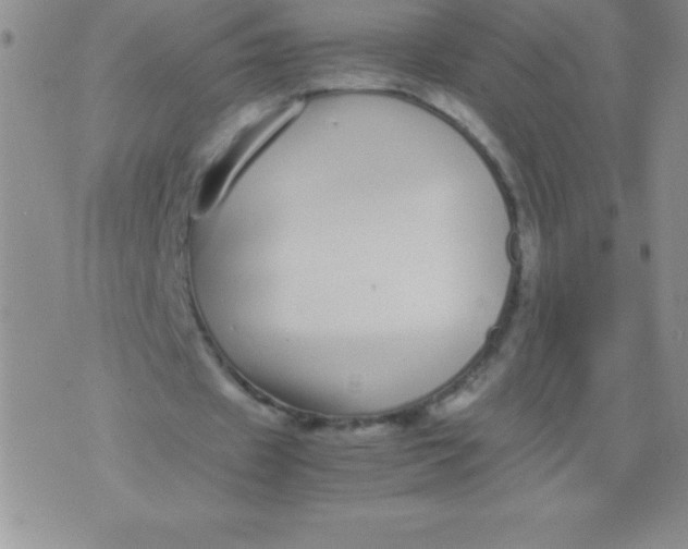 X0000071950433200607282012