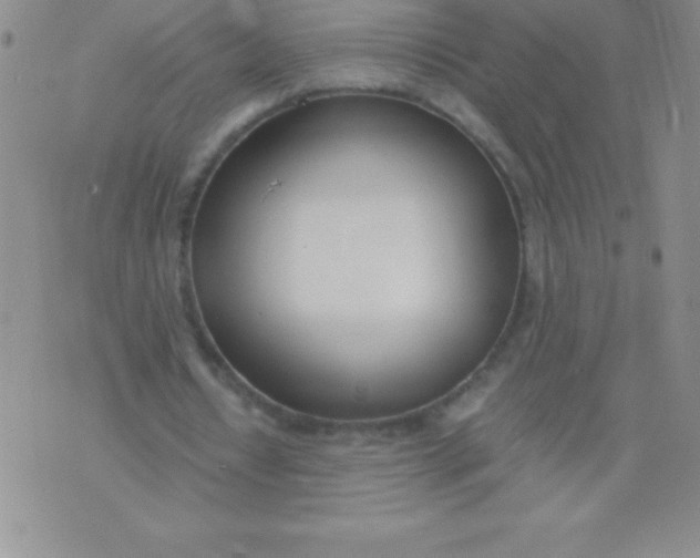 X0000071950434200607282012