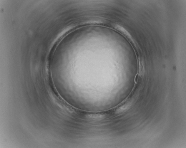 X0000071950435200607282012