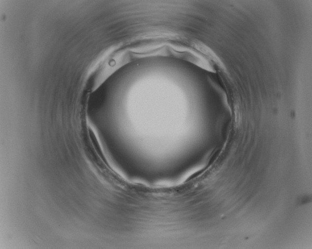 X0000071950436200607282012