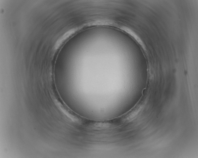 X0000071950437200607282012