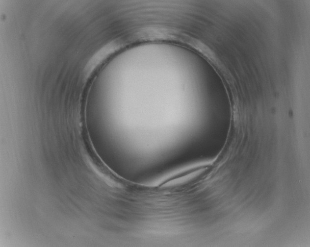 X0000071950438200607282012